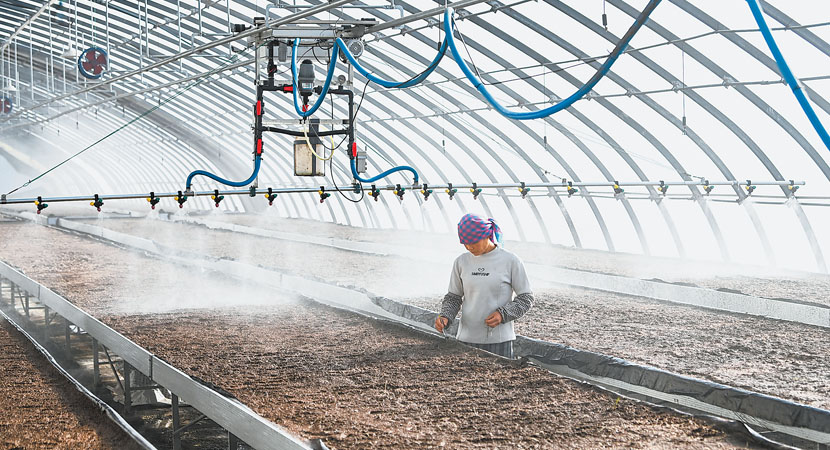 �����ع�����Ա���аٺ��Ѷ�����������