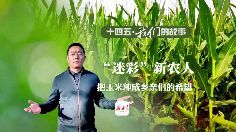 ��ʮ���塤���ǵĹ��¡����Բʡ���ũ�� �������ֳ������ǵ�ϣ��