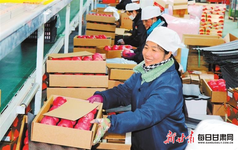 【图片新闻】在静宁一家果品企业里 工人在分拣、打包苹果