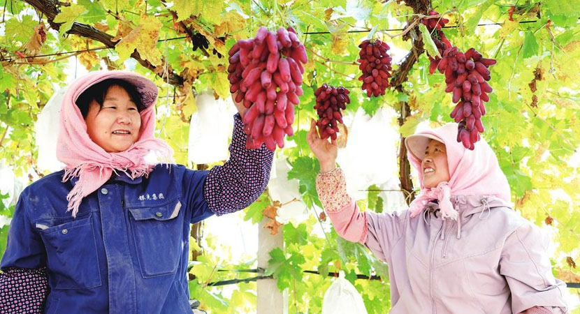 ¡��ʱ�� ����������ֲ������ů������