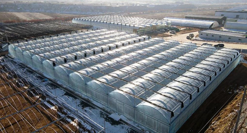 ����ý�����ࡿ�Ƽ����¸���ũҵ��չ