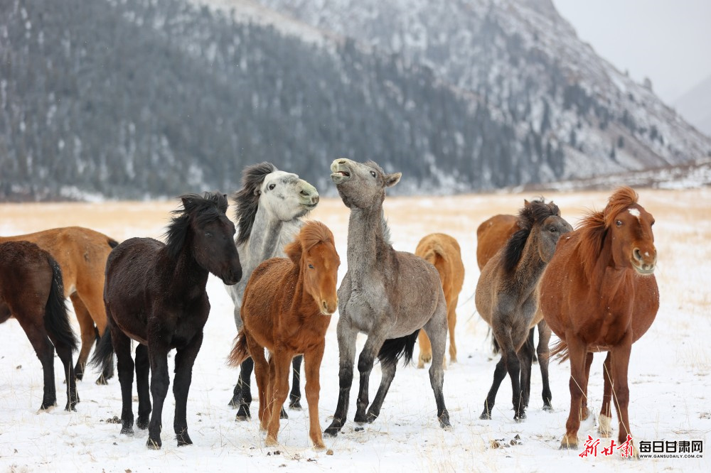 ����ɽ�����˶���׳��