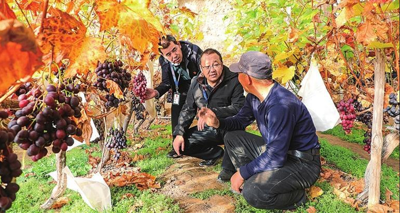 2025�������мͼ��칤������