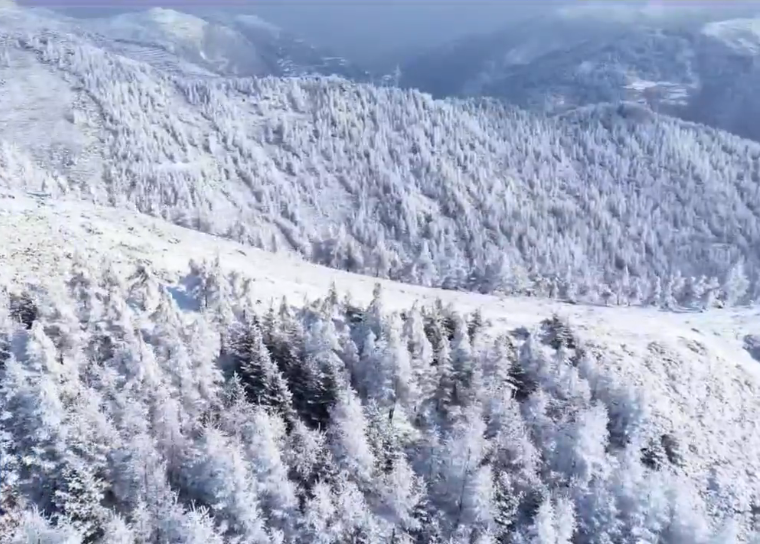 ¤��崲�ë��ɽѩ�����续