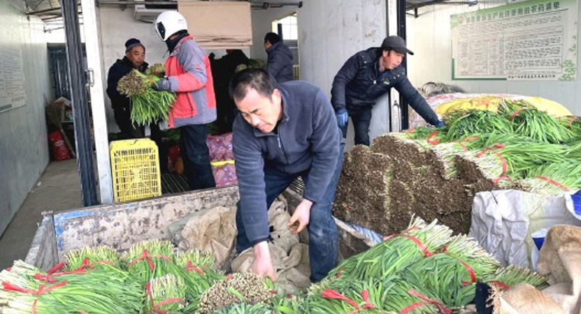 �ʹ����Ͱ�����Ҿ²˱���ȫ������