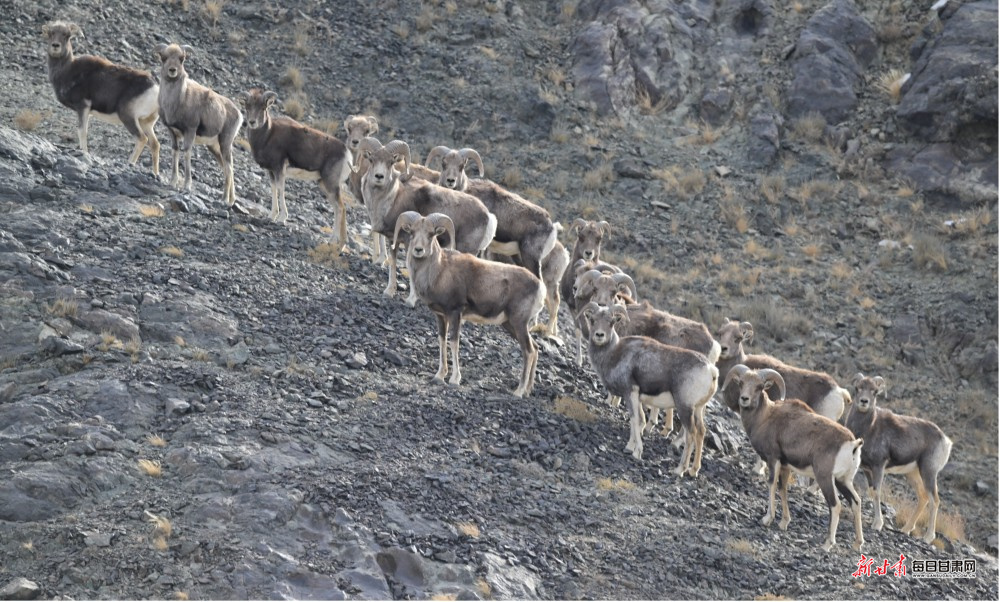 ��ϡ���������� �౱��̬���¾�