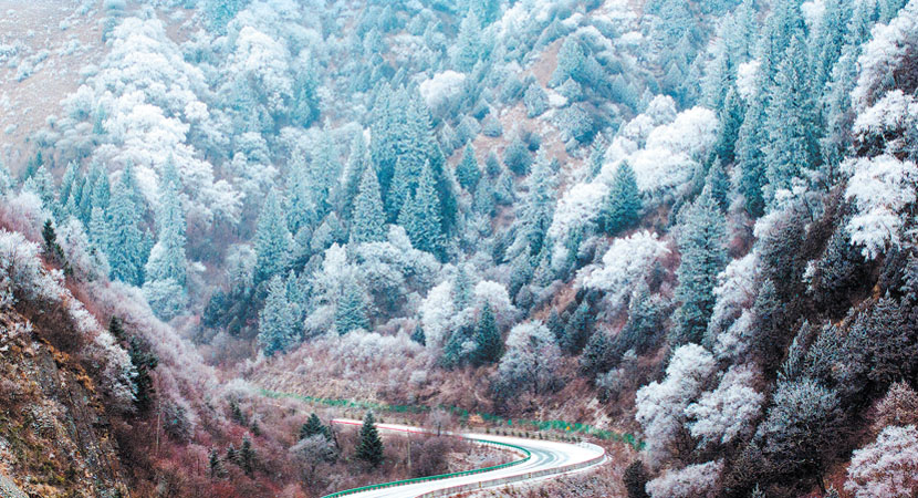 ѩ���ʡ��209������ʤ��