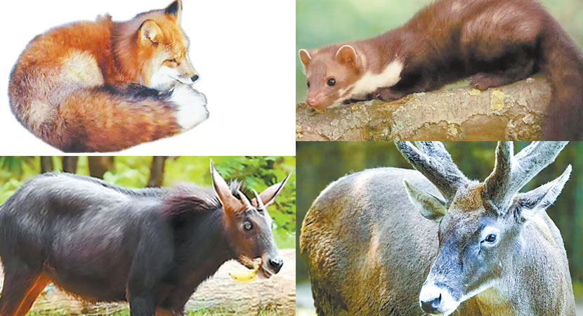 �߽������Ķ�������