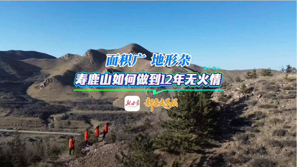 �´��߻��� | ����� ������ ��¹ɽ�������12���޻���