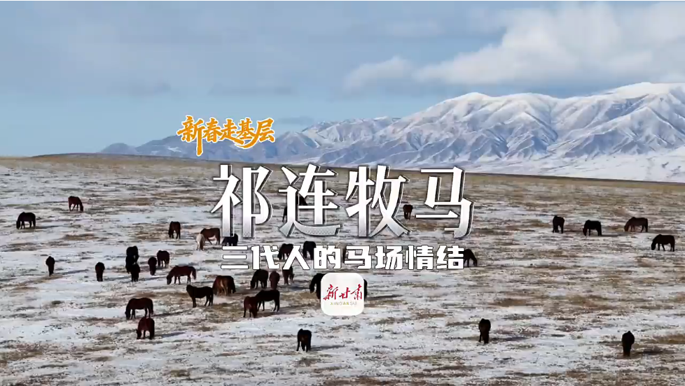 �´��߻���ح���������������˵��������