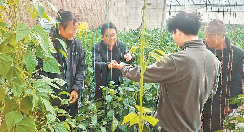 ƽ�����������򵳽������۲�