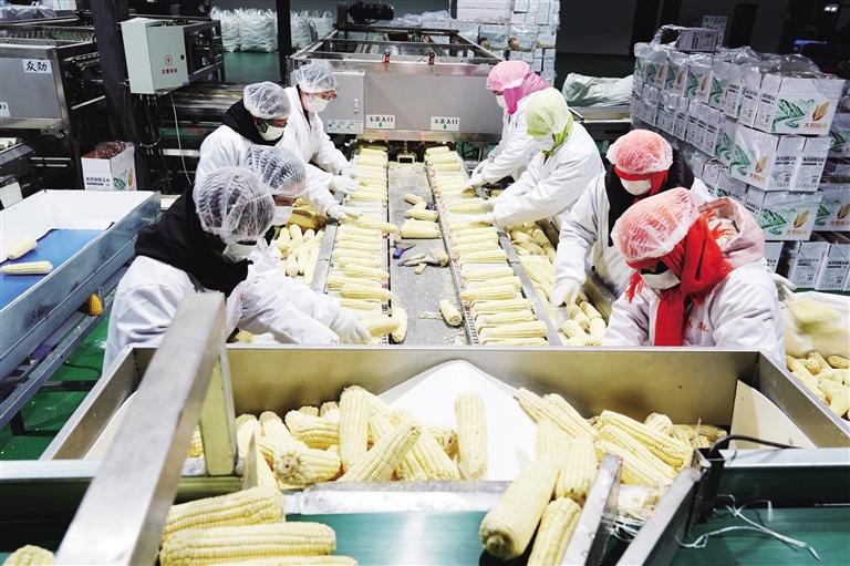 【新春走基层】兰州新区食品园区企业精耕细作保供应促发展