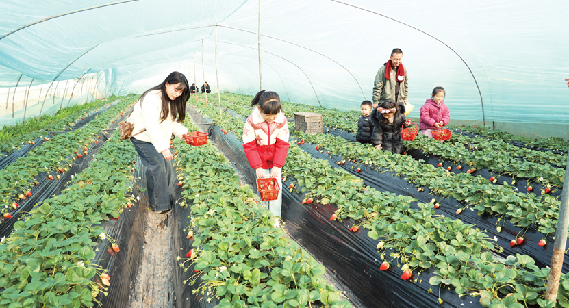 �����ٽ� �ο����������������ժ��ݮ