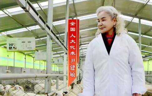 ����vlog�ռǣ�ȫ���˴���������������Լ���������ȥ�������⡰��������