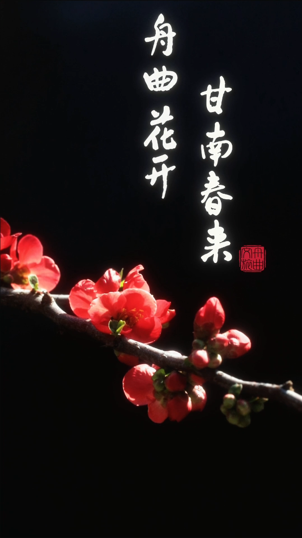 �������������ϴ���