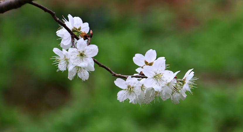 ��һ�����ջ�Լ �䶼ӣ�һ�����