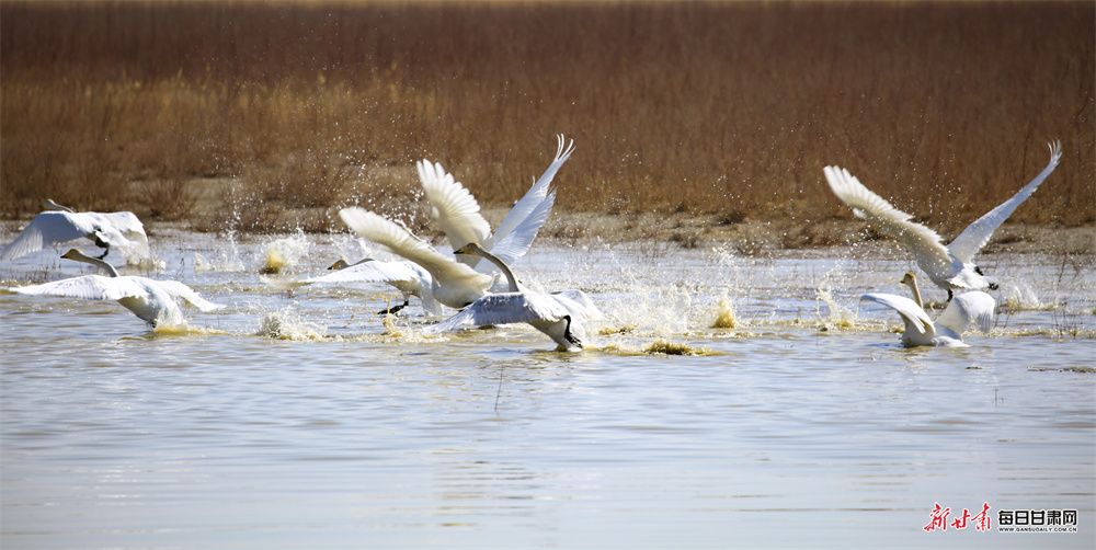 �����زݺ�ʪ��ӭ�����վ���