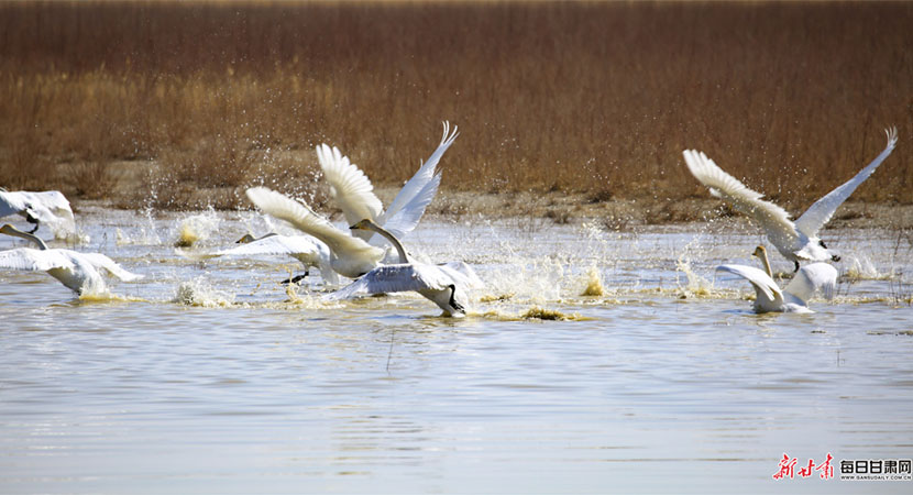 �����زݺ�ʪ��ӭ�����վ���