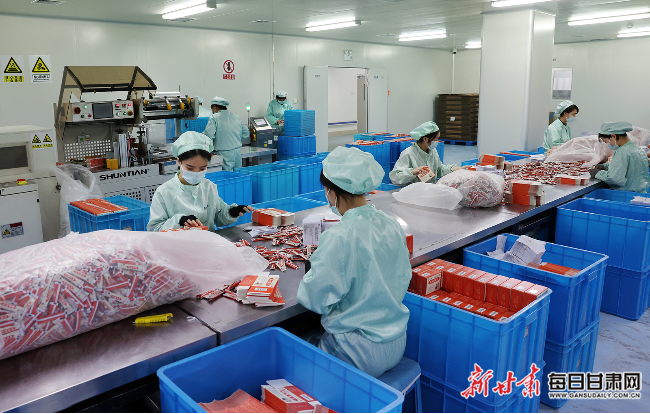 陇药企业节后复工复产呈现火热态势