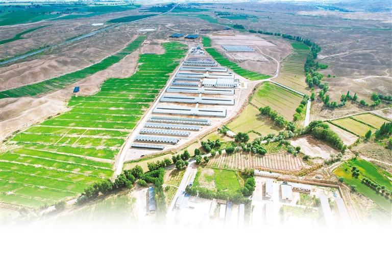 “生态包袱”变“绿色银行”——甘肃省实施秸秆综合利用工程发展绿色农业