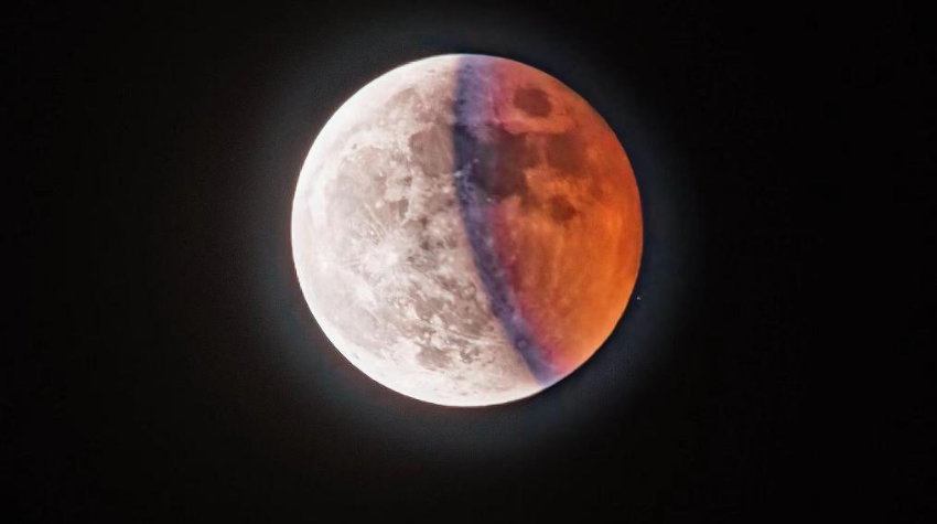 ����ʳ��Ԫ��������ι۲���������֡�����������