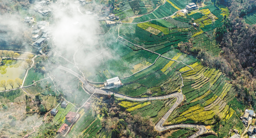 ��������ɽ���ũ��ժ�紺��