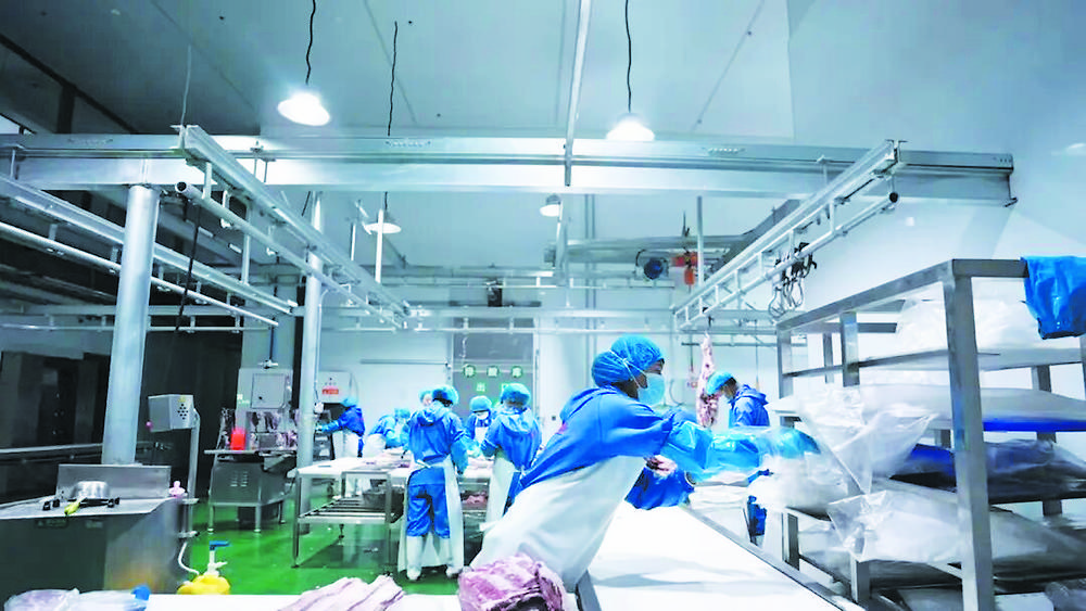 【新春走基层】广河县:牛羊销旺产业兴