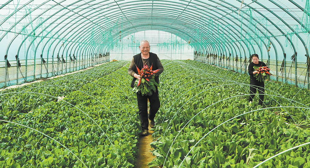 ���ص�����կ��ũ���ժ�߲�