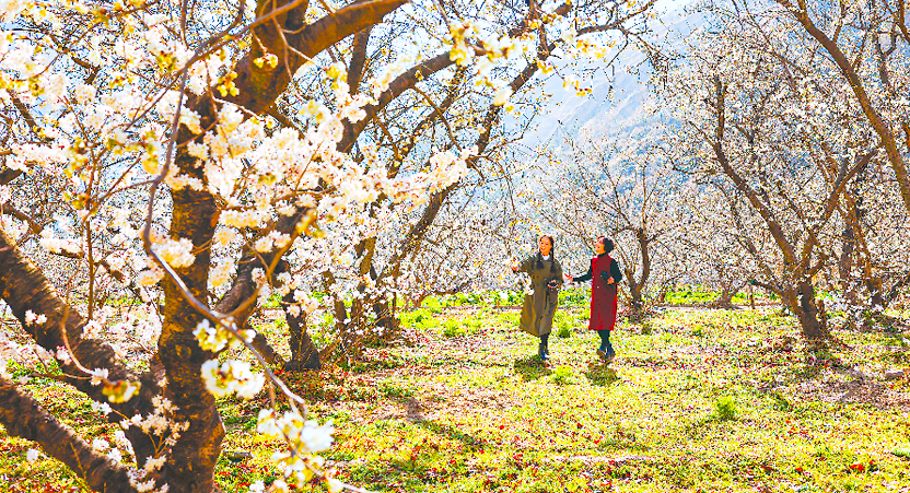 ���ݡ��������Դ������ϵı���