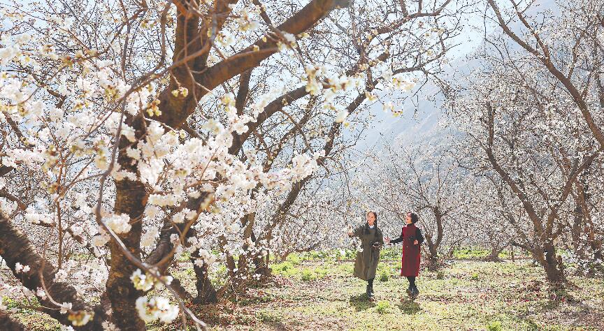 ���ݡ��������Դ������ϵı���