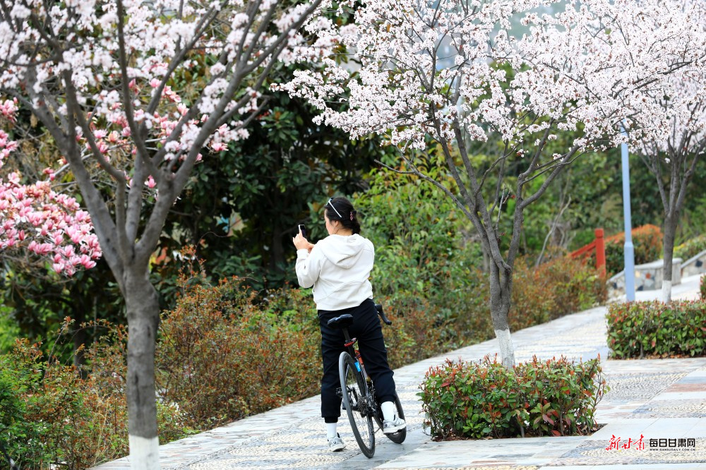 ���»�������԰ ¤��ʪ�ذٻ���