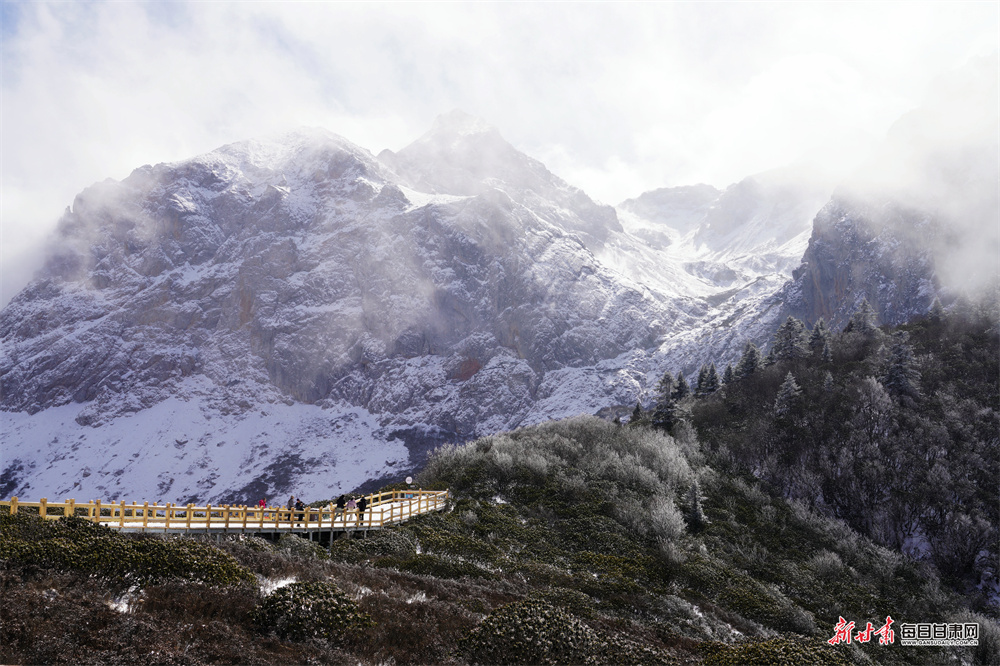 ��ѩ�����ߡ� 崲��ٶ칵��ֵ����