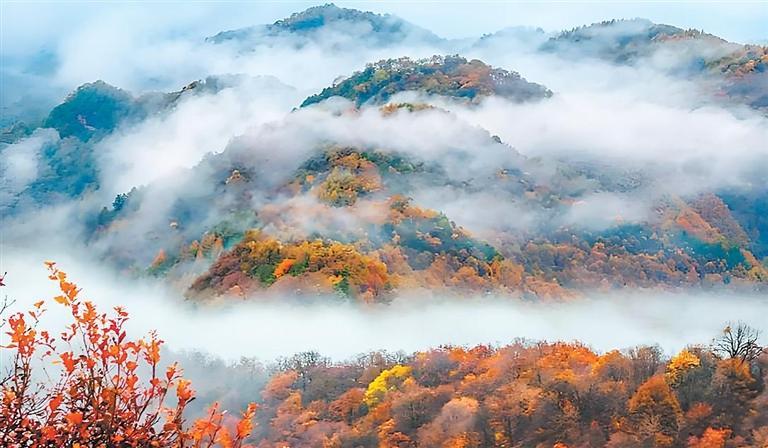 【重推】甘肃历史文化的诗化呈现