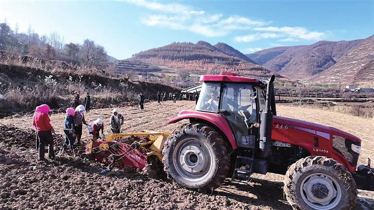 宕昌：“药苗子”蹚出乡村振兴致富路
