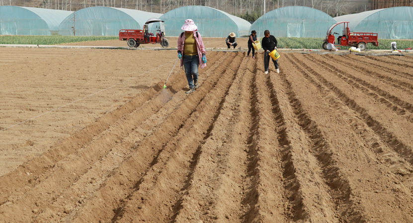 ���أ���������ũ��æ