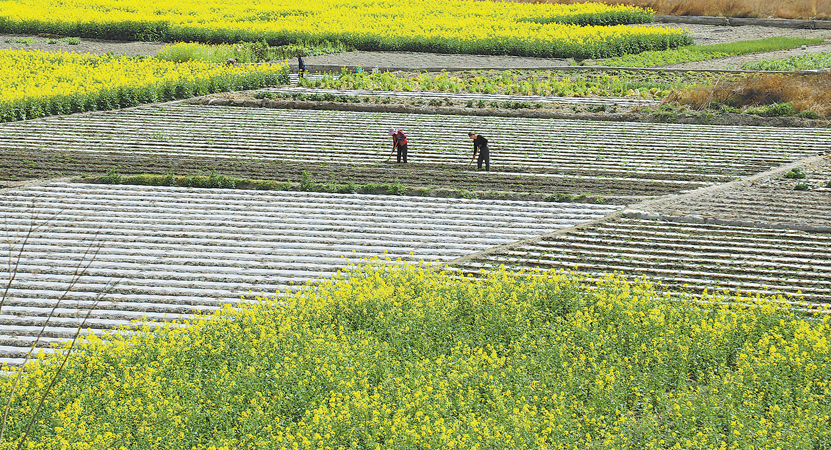 ���ڴ�����