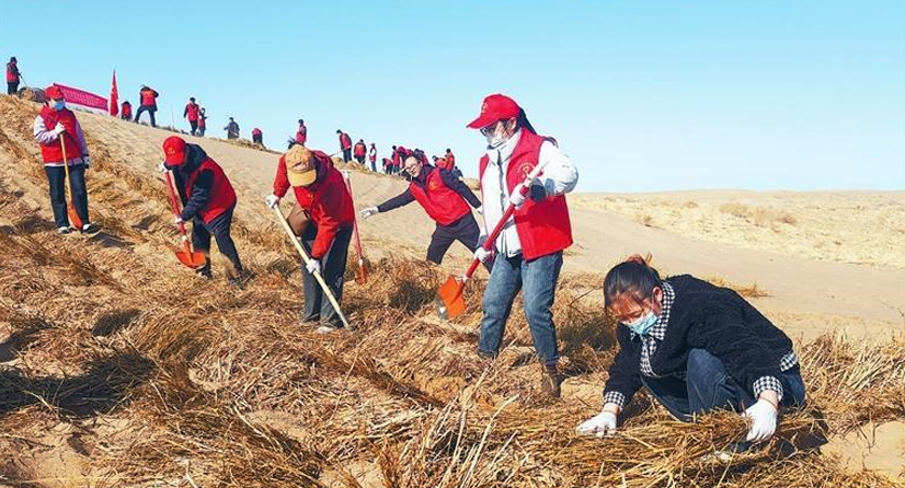 �����п�չ����ѹɳֲ���