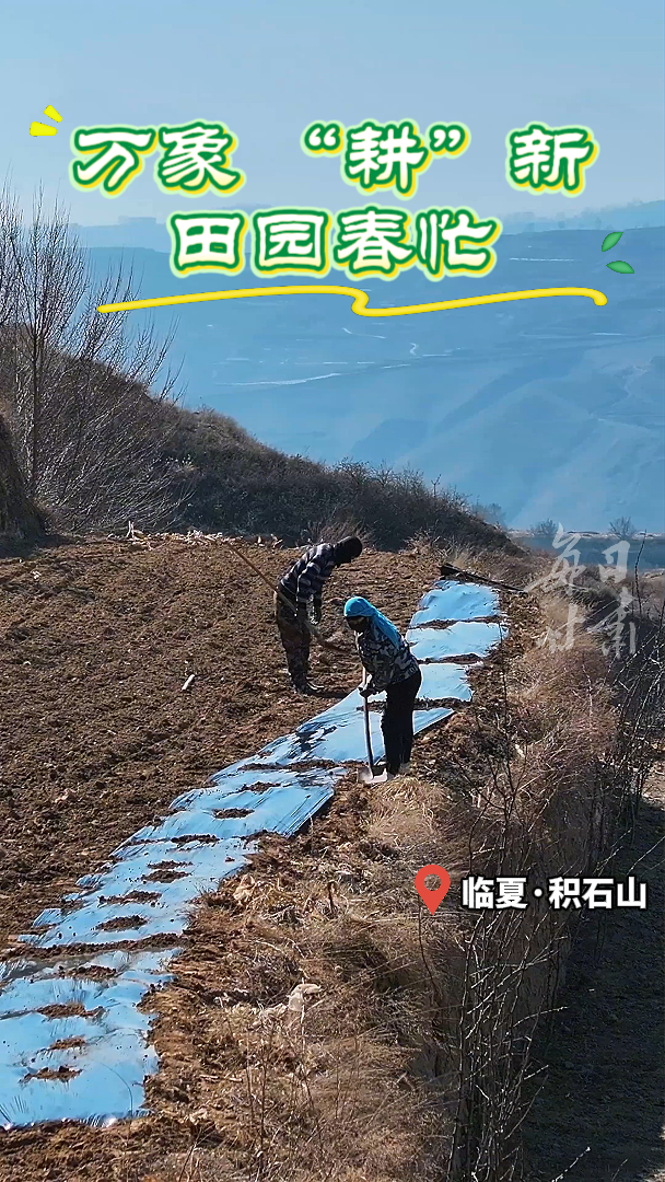 ���� ��������   ��԰��æ