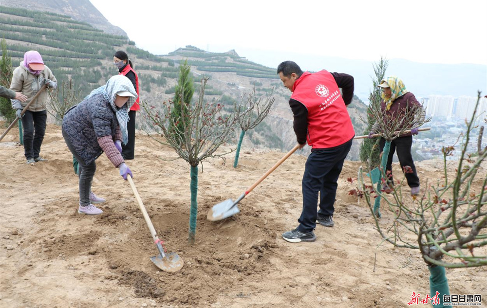 �ʹȿ�չȫ������ֲ���