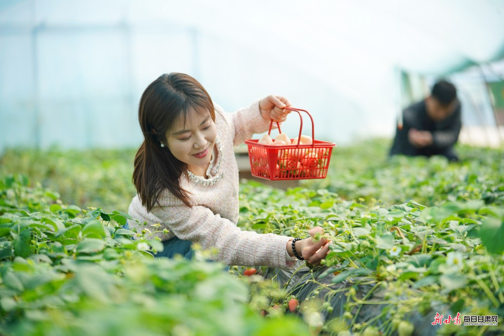 ������������ ������ ��ҵ������