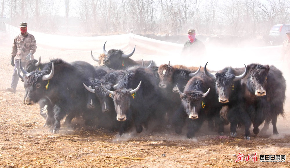 ����25��ͷţ�������ؽ���˳������