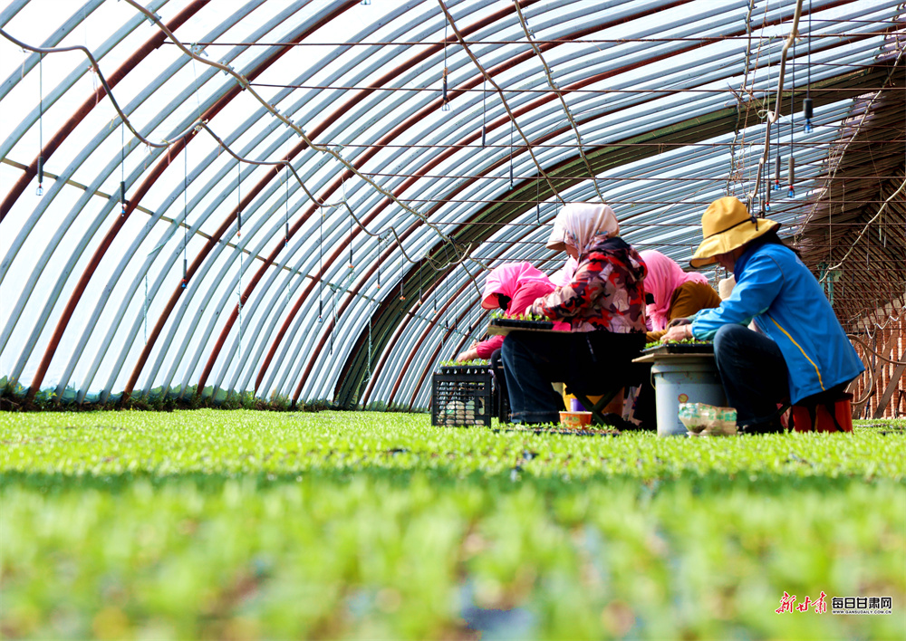 ��������ܻ�æ �������촺������������