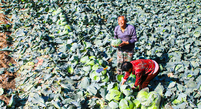 ���ش���ũ��æ