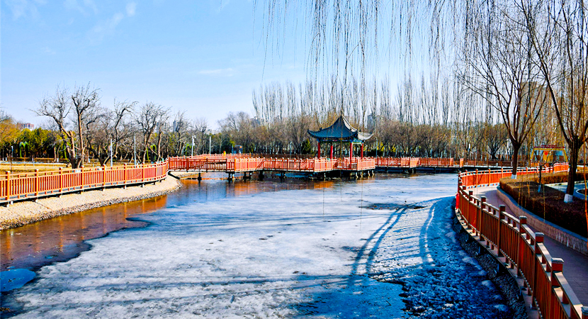 էů�������ݳ� ֲ��԰�ﴺ��Ũ