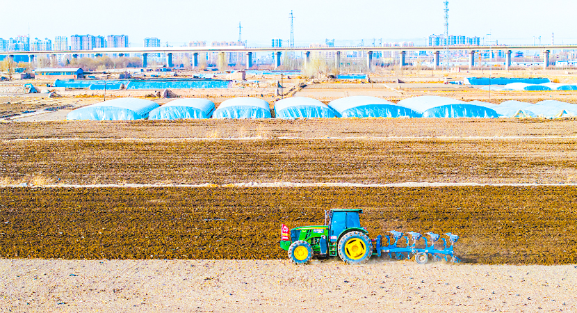 ��Ҵ�г����򣺴�����ץũʱæ����