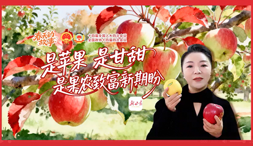 ������Ĺ��¡���ƻ�� �Ǹ��� �ǹ�ũ�¸�������