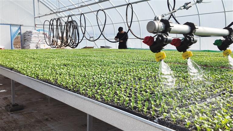 人勤春来早 农忙正当时 兰州市各县区积极开展春耕备耕工作