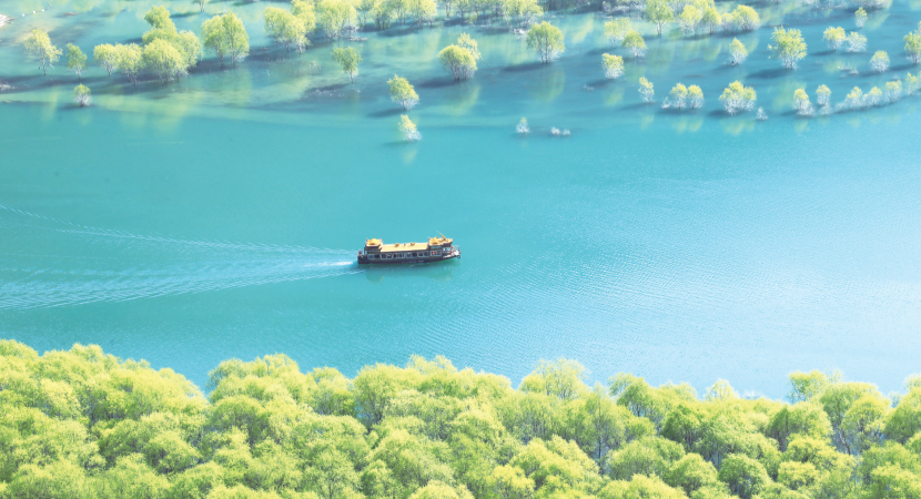 �οͳ˴���Խ��������������