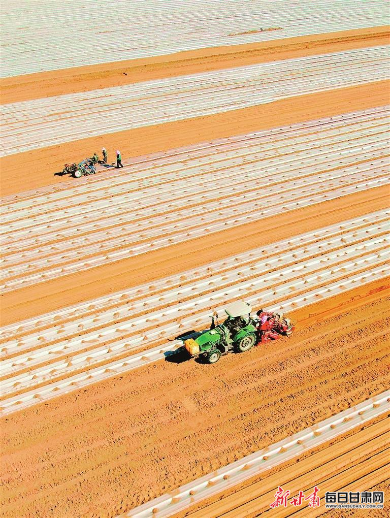 【图片新闻】古浪县永丰滩镇三墩村种植户抢抓农时忙春耕