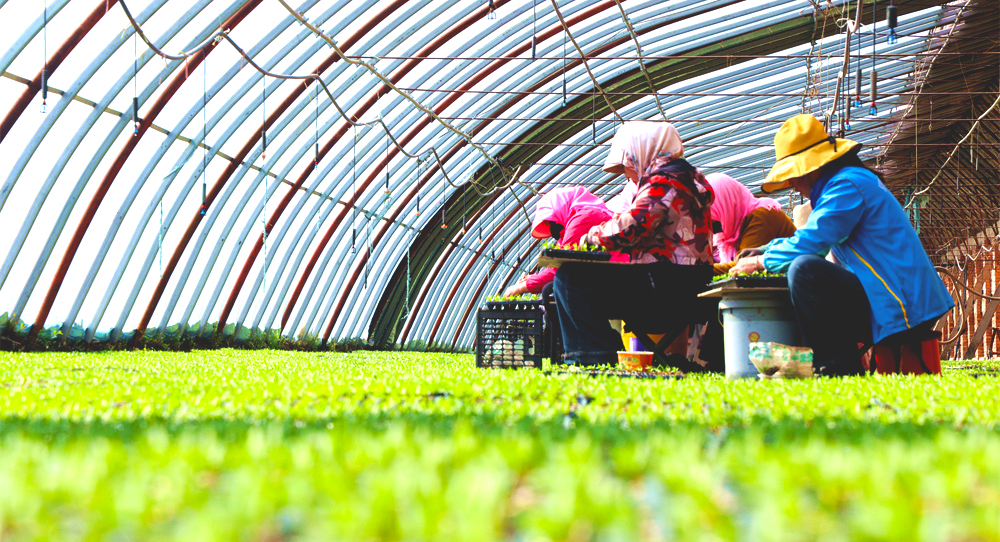 �������촺������������